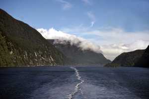 FIORDLAND-NATIONAL-PARK-2019 (252)
